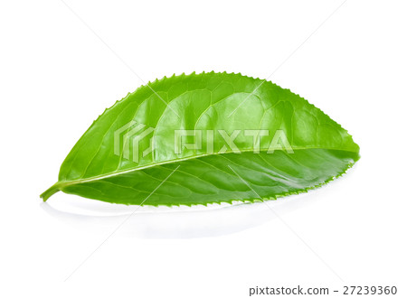 Green tea leaf on white background 27239360