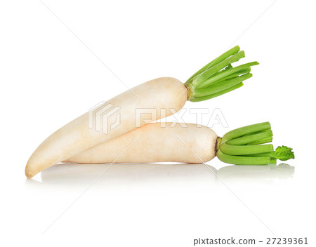 Daikon radishes isolated on white background 27239361