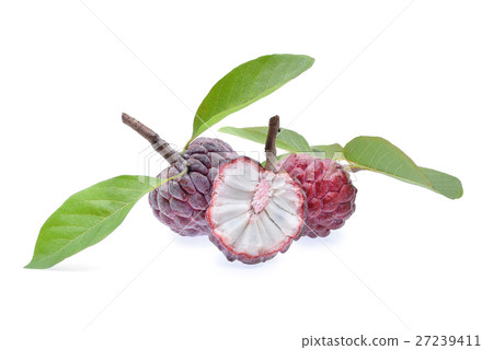 Custard apple isolated on white background 27239411