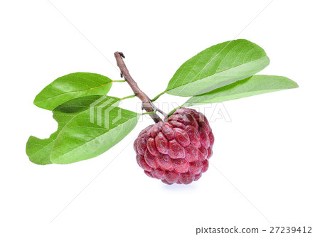 Custard apple isolated on white background 27239412