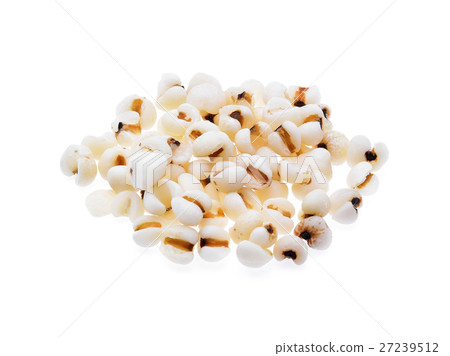 Millet grains isolated on white background 27239512