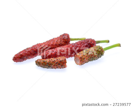 Long pepper isolated on white background. 27239577