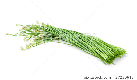Chinese chives on white background 27239613