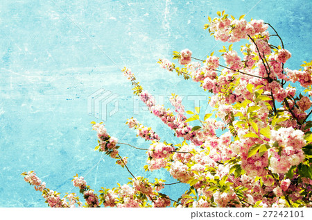 grunge flowers 27242101