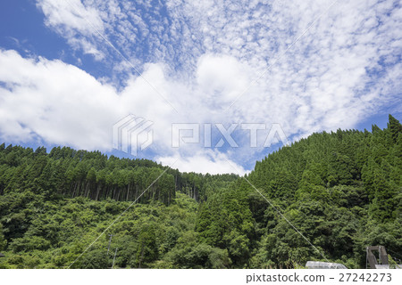Stream of Oita Prefectural Road Emerald Green Streams from Susagiri Township Suspension Bridge and Fresh Green Forest, Scales of Clouds in the Blue Sky Nature Stream of Oita Prefectural Road Emerald Green Streams from Susagiri Township Suspension Bridge and Fresh Green Forest, Scales of Clouds in the Blue Sky Nature 27242273