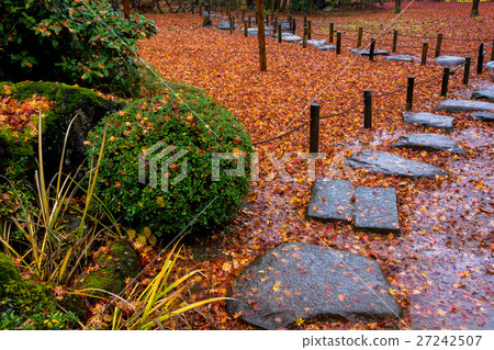 A fallen leaf on one side A fallen leaf on one side 27242507