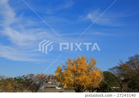Ginkgo Kumamoto Castle 27243140