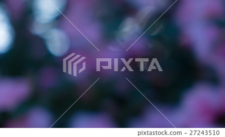 Green and light blurred material of the winter forest 27243510