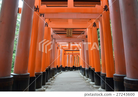 Fushimi Inari Shrine  27243600