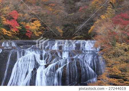 Fukuroda Falls colored with autumn leaves 27244019