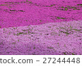 Spring carpet (moss slurry) 27244448