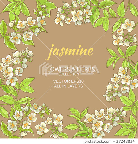 jasmine vector frame 27248834