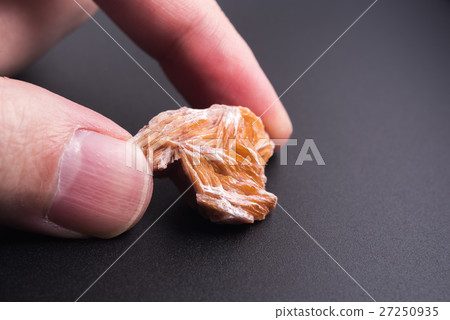 Stone (exact name is unknown) 27250935