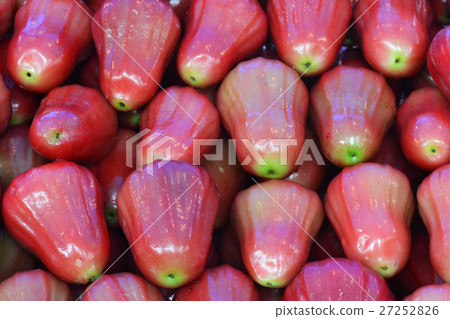 rose apple rose apple 27252826