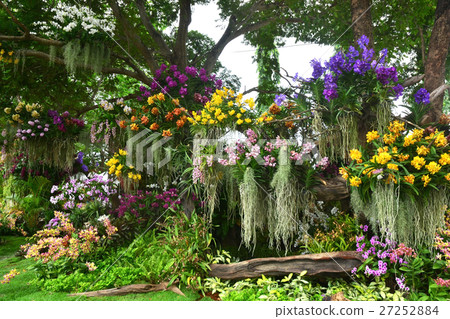 Flower arrangements Flower arrangements 27252884