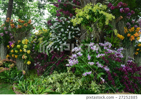 Flower arrangements Flower arrangements 27252885