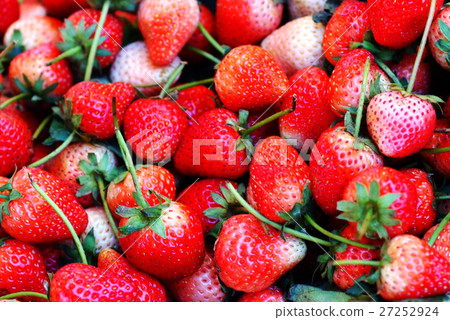 strawberries strawberries 27252924