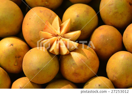 Sapodilla 27253012