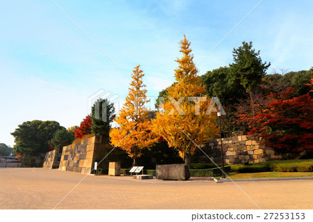The Imperial Palace East Gardens, Ginkgo's Autumn Leaves (December) Chiyoda-ku, Tokyo 27253153