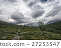 Tundra landscape in Northern Sweden 27253547