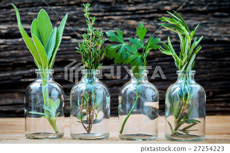 Bottle of essential oil with herbs . 27254223