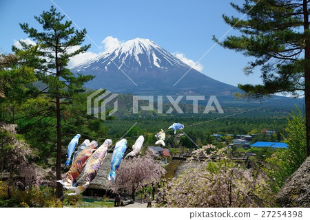 來自西湖稻田的Koinobori和富士山的治療 27254398