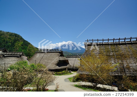 西湖的屋頂從癒合的屋頂的稻田和富士山 27254399