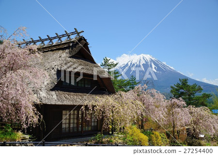 西湖的屋頂來自癒合屋頂的稻田，櫻花和富士山 27254400