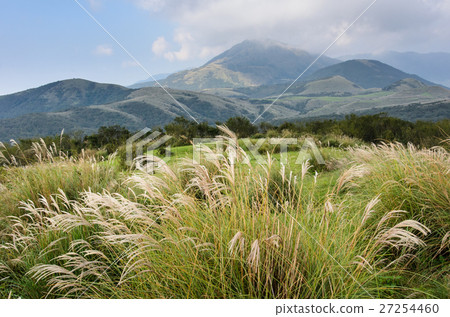 Yangmingshan National Park in Taipei, Taiwan 27254460