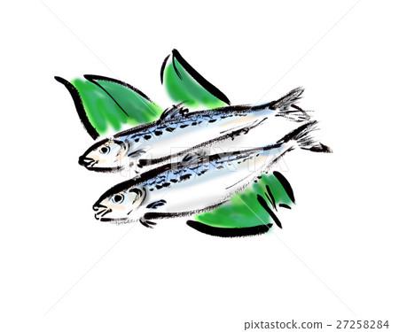 沙丁魚 27258284