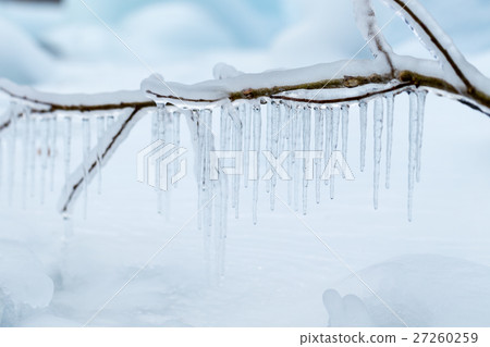 Branches frozen in the winter. Branches frozen in the winter. 27260259