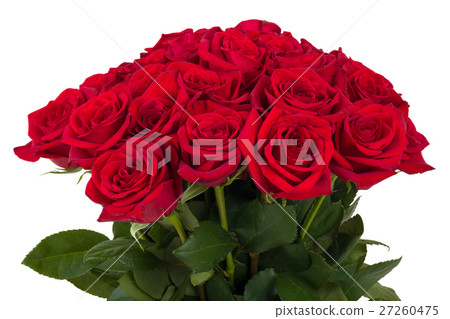 圖庫照片: bouquet of fresh valentine red roses isolated