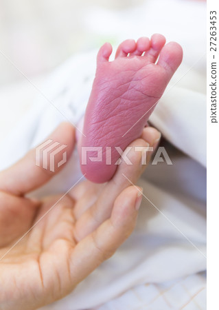 Newborn baby feet into mothers hands. Newborn baby feet into mothers hands. 27263453