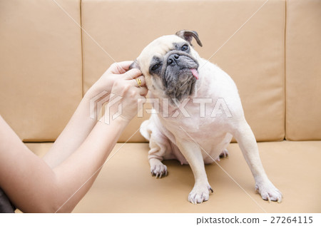 cleaning, swab, healthcare 27264115