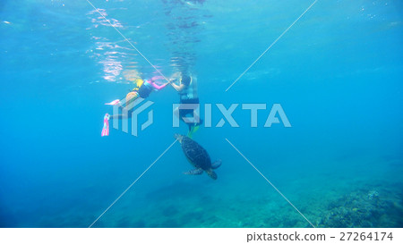 Okinawa Akijima Observation of green turtles at Aka Beach Parent and child underwater photography Okinawa Akijima Observation of green turtles at Aka Beach Parent and child underwater photography 27264174