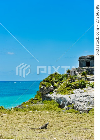 圖盧姆遺址和鬣蜥（垂直） 27266698