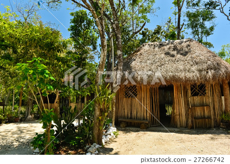 Maya's dwelling 27266742