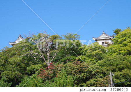 Tenshi和和歌山城堡的槳 Tenshi和和歌山城堡的槳 27266943