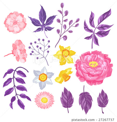 Set of decorative delicate flowers. Objects for 27267737