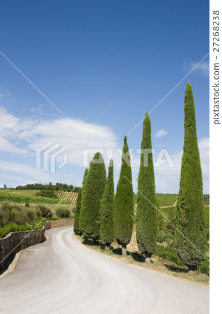 A typical landscape of Tuscany 27268238