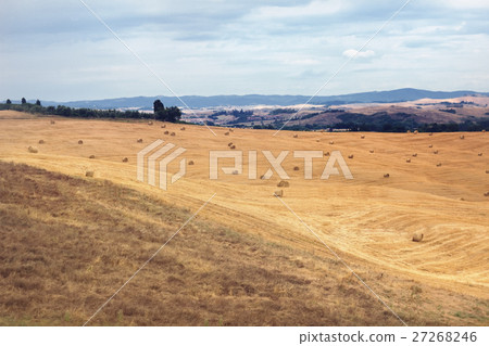 A typical landscape of Tuscany A typical landscape of Tuscany 27268246