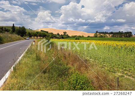 A typical landscape of Tuscany A typical landscape of Tuscany 27268247