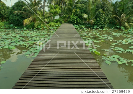 Nakhon Pathom荷花池,泰國王國參觀Majorsawat運河遊覽 Nakhon Pathom荷花池,泰國王國參觀Majorsawat運河遊覽 27269439