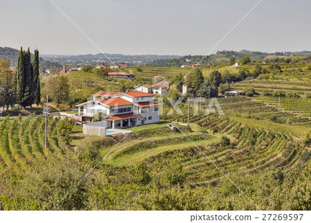 Rural mediterranean landscape with vineyards 27269597