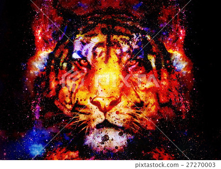 magical space tiger, multicolor computer graphic magical space tiger, multicolor computer graphic 27270003