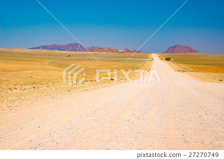 Gravel 4x4 road crossing the colorful desert 27270749