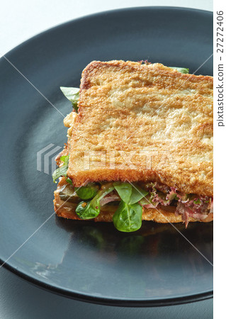 Grilled ham sandwich 27272406