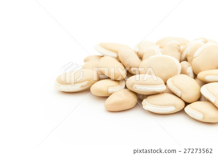 Hyacinth Bean (Hyacinth bean): Hyacinth bean (Lablab-bean) Hyacinth Bean (Hyacinth bean): Hyacinth bean (Lablab-bean) 27273562