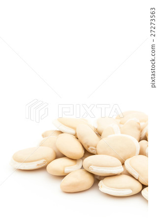 風信子豆（風信子豆）：風信子豆（扁豆） 27273563