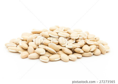 Hyacinth Bean (Hyacinth bean): Hyacinth bean (Lablab-bean) 27273565